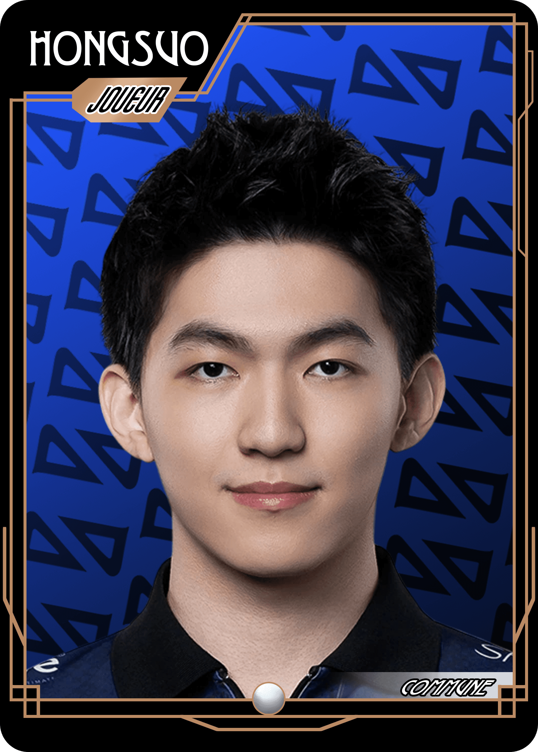 DCG HongSuo